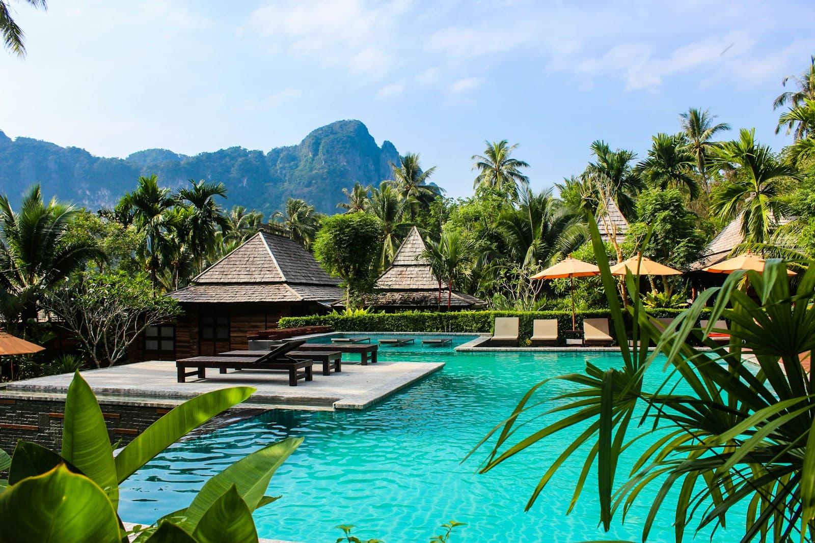 Resort pool surrounded by palms